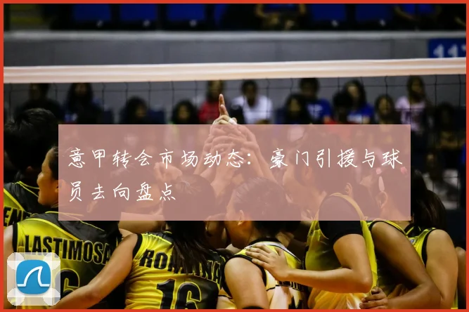 意甲转会市场动态：豪门引援与球员去向盘点